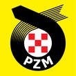 PZM - logo
